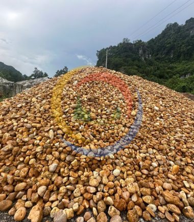 soi vang tu nhien tenesa