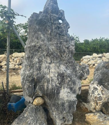 da lua hoa binh 3
