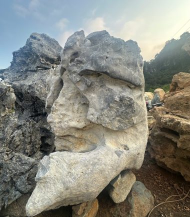 da lua hoa binh 4