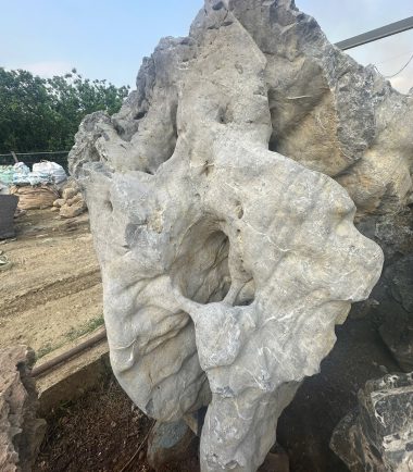 da lua hoa binh 5