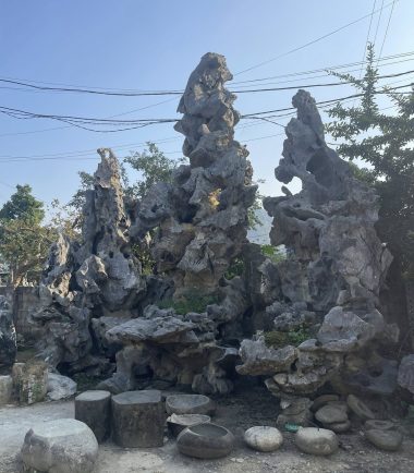 da lua hoa binh non bo 2