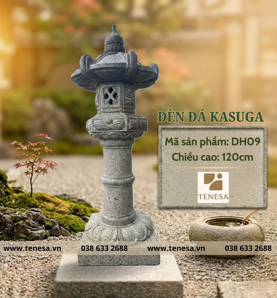DH09 (1)