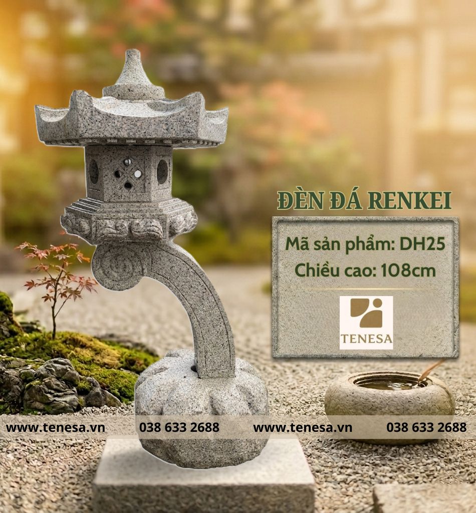 DH25 (1)