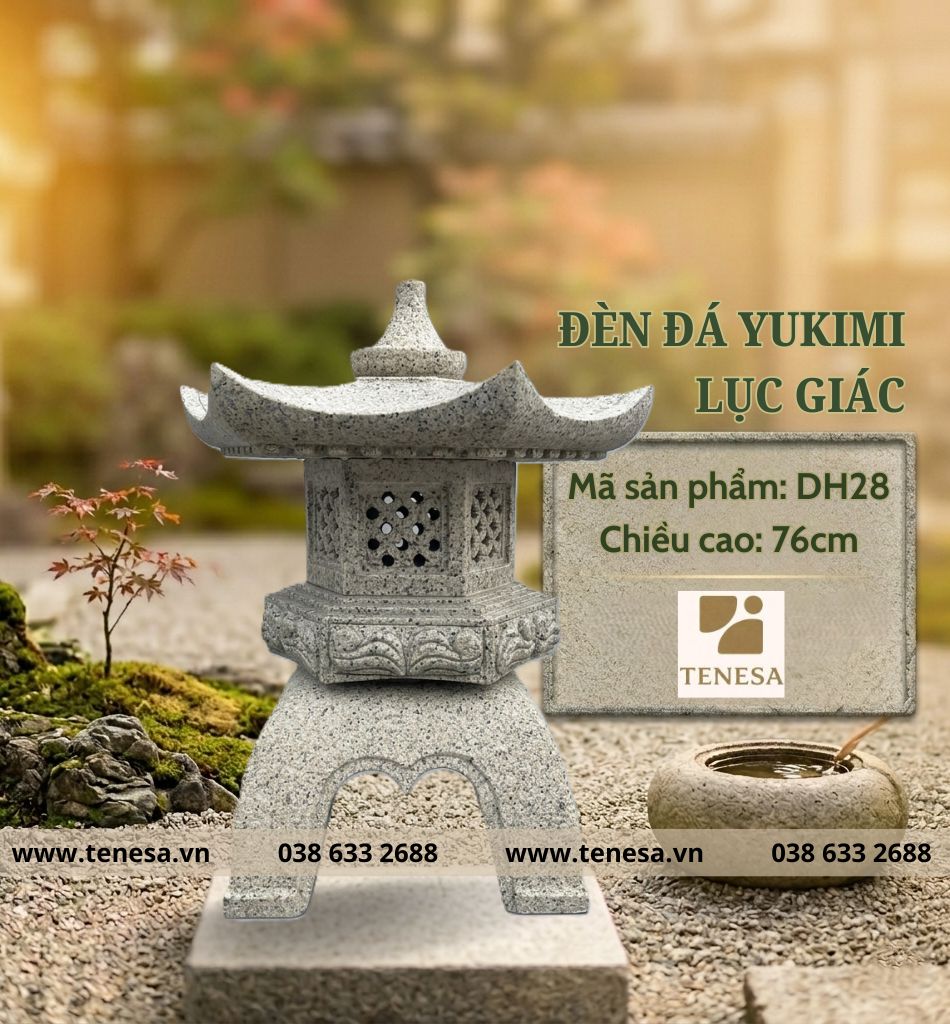 DH28 (1)
